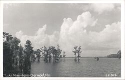 Lake Minnehaha, Clermont, Florida Postcard