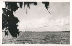 Lake Minneola, Clermont Florida Postcard