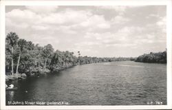 St. John's River Near Deland Florida Postcard