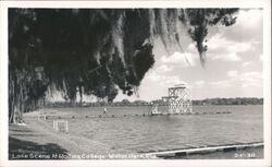 Lake Scene at Rollins College Postcard