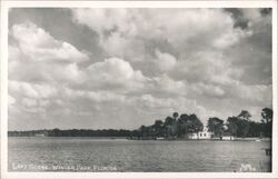 Lake Scene, Winter Park, Florida Postcard