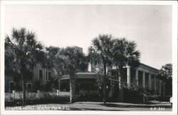 Virginia Hotel, Winter Park, FL Postcard