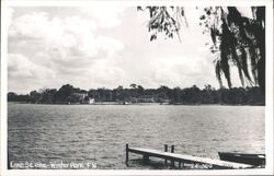 Lake Scene, Dock, & Boat, Winter Park, FL Postcard