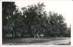 Tom's Fishing Camp Cottages, Spanish Moss Trees Postcard