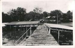 Tom's Fishing Camp Boat Docks, Montverde, Florida Postcard