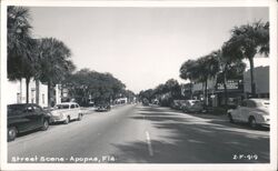 Apopka, Florida Street Scene Postcard