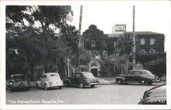 The Palms Hotel in Apopka, Florida Postcard