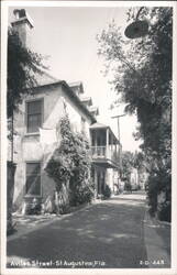 Aviles Street, Vines, Horse and Carriage, St. Augustine, FL Postcard