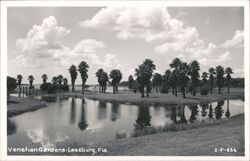 Venetian Gardens, Leesburg, Florida Postcard Postcard Postcard