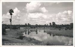 Venetian Gardens, Leesburg, Florida Postcard