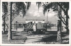 Municipal Pier at City Park on Lake Apopka Postcard