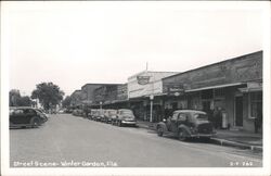 Winter Garden, FL - Street Scene Postcard