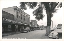 Winter Garden, FL - Hogue's 5 10 & 25¢ Store Street Scene Postcard