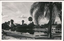 City Park Swimming Pool, Winter Garden, Florida Postcard