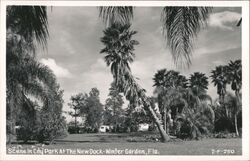 City Park at the New Dock, Winter Garden FL Postcard