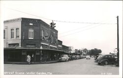 Rexall Drug Store, Winter Garden, Florida Postcard