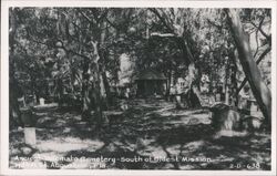 Ancient Tolomato Cemetery - South of Oldest Mission Postcard