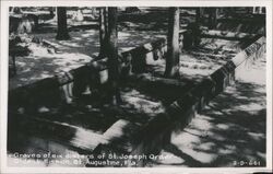 Graves of Six Sisters of St. Joseph Order Postcard