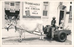 "Bullmobile" Ox-drawn Cart, Black Driver, Fernandino, Florida Postcard