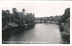 Suwannee River from Hillman Bridge, US 90 Postcard