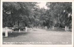 Wayside Park on the Suwannee River, US 90 Postcard