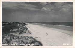 Beach Scene at Fernandina Beach, Florida Postcard