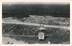 Beachgoers Enjoying Protected Bathing Area, Fernandina Beach Postcard