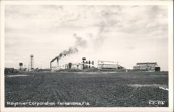 Rayonier Corporation, Fernandina Beach, Florida Postcard