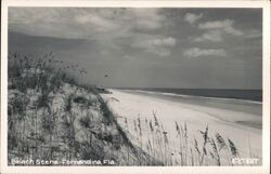 Beach Scene, Sand Dunes, Sea Oats Postcard