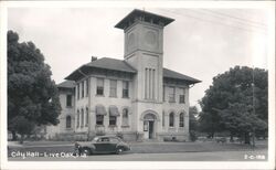 Live Oak, Florida City Hall Postcard