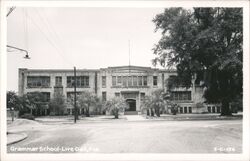 Grammar School, Live Oak, Florida Postcard