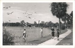 Feeding Seagulls on Lake Eola Postcard