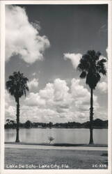 Lake DeSoto, Lake City, Florida Postcard