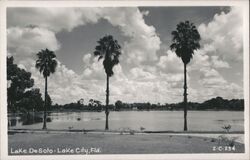 Lake DeSoto Lake City Florida Palm Trees Postcard