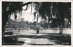 Park Scene Showing Lake Isabelle Postcard