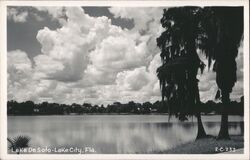 Lake DeSoto Lake City Florida Cumulus Clouds Spanish Moss Trees Postcard