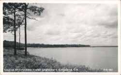 Crooked River State Park Kingsland GA Postcard