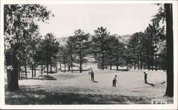 Putting on the 8th Green, Florida Caverns Golf Course Postcard