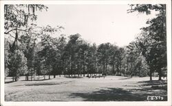 Approaching No. 6 Green, Florida Caverns Golf Course Postcard