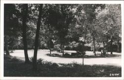 Florida Caverns State Park Postcard