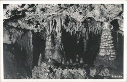 Cave Stalactites & Stalagmites, Florida Caverns State Park Postcard