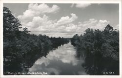 St. Mary's River, Folkston, Georgia Postcard