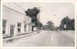 Carriker's Gift Shop, Drugs, White Springs, Florida Postcard