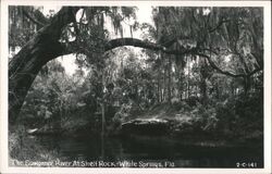 Suwannee River at Shelf Rock, White Springs, Florida Postcard