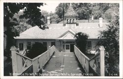 White Sulphur Springs Entrance, White Springs, Florida Postcard