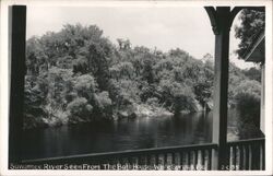 Suwannee River from Bath House, White Springs, Florida Postcard