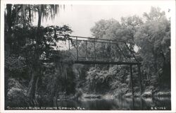 Suwannee River Bridge at White Springs, Florida Postcard