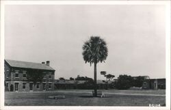 Fort Clinch Postcard