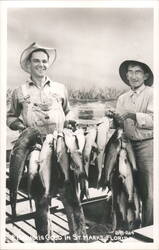 Two Men Holding String of Fish, St. Marks, Florida Postcard