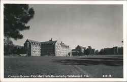 Florida State University Campus Scene Postcard